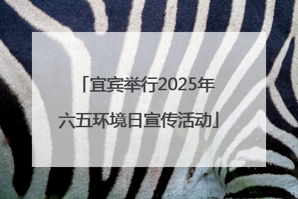 宜宾举行2025年六五环境日宣传活动
