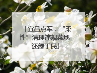 宜昌点军：“柔性”清理违规菜地 还绿于民