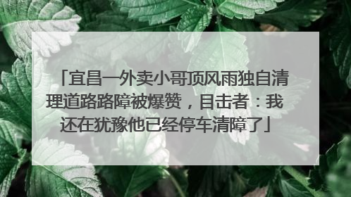 宜昌一外卖小哥顶风雨独自清理道路路障被爆赞，目击者：我还在犹豫他已经停车清障了