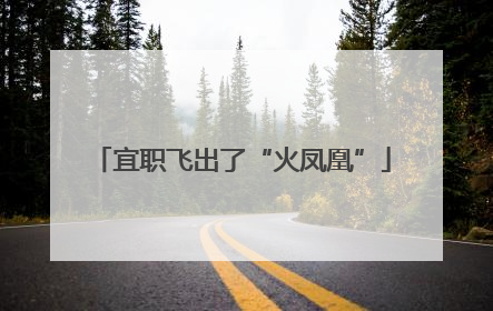 宜职飞出了“火凤凰”