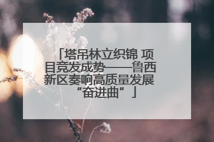 塔吊林立织锦 项目竞发成势——鲁西新区奏响高质量发展“奋进曲”