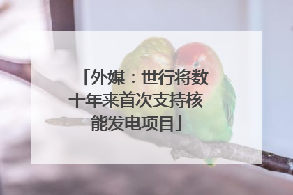 外媒：世行将数十年来首次支持核能发电项目