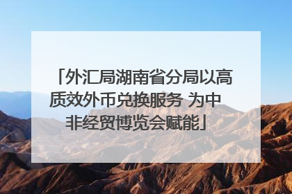 外汇局湖南省分局以高质效外币兑换服务 为中非经贸博览会赋能