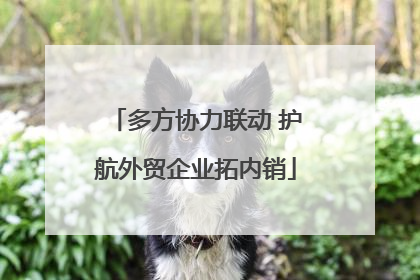 多方协力联动 护航外贸企业拓内销