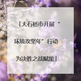 大石桥市开展“环境攻坚年”行动为决胜之战赋能