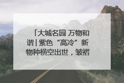 大城名园 万物和谐│紫色“高冷”新物种横空出世，皱褶叶片暗藏进化密码