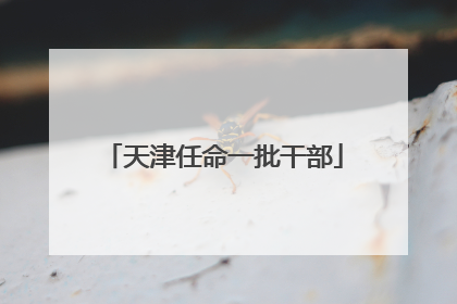 天津任命一批干部