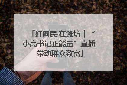 好网民·在潍坊｜“小高书记正能量”直播 带动群众致富