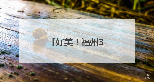 好美！福州3万株百合盛放