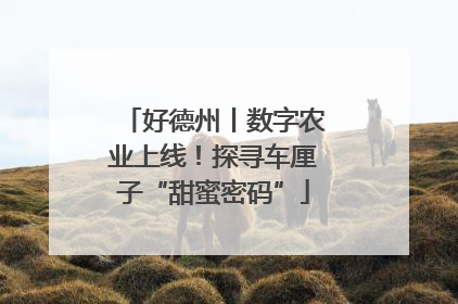 好德州丨数字农业上线！探寻车厘子“甜蜜密码”