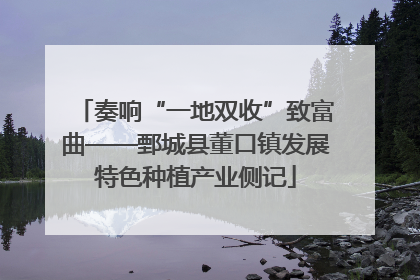 奏响“一地双收”致富曲——鄄城县董口镇发展特色种植产业侧记