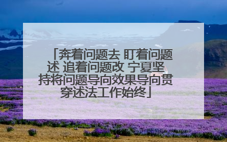 奔着问题去 盯着问题述 追着问题改 宁夏坚持将问题导向效果导向贯穿述法工作始终
