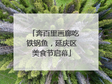 奔百里画廊吃铁锅鱼，延庆区美食节启幕
