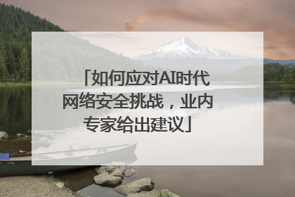 如何应对AI时代网络安全挑战，业内专家给出建议