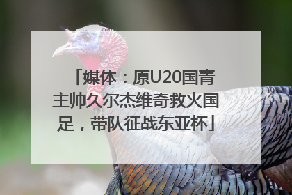 媒体：原U20国青主帅久尔杰维奇救火国足，带队征战东亚杯