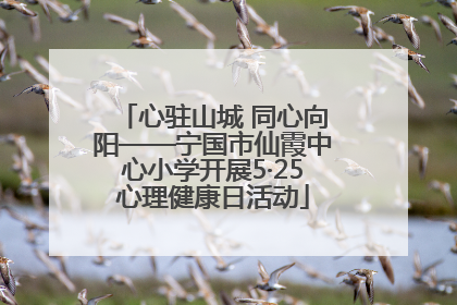 心驻山城 同心向阳——宁国市仙霞中心小学开展5·25心理健康日活动