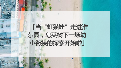 当“虹猫娃”走进淮东园，皂荚树下一场幼小衔接的探索开始啦