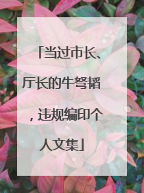 当过市长、厅长的牛弩韬，违规编印个人文集