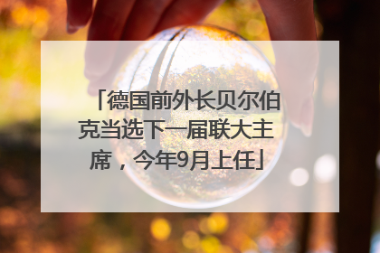 德国前外长贝尔伯克当选下一届联大主席，今年9月上任