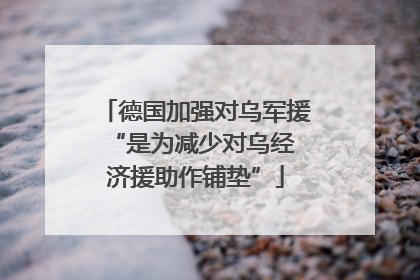 德国加强对乌军援 “是为减少对乌经济援助作铺垫”