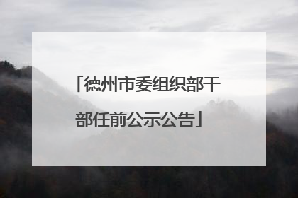 德州市委组织部干部任前公示公告