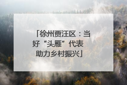 徐州贾汪区：当好“头雁”代表 助力乡村振兴