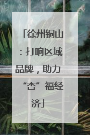 徐州铜山：打响区域品牌，助力“杏”福经济