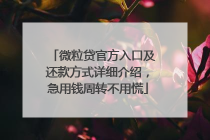 微粒贷官方入口及还款方式详细介绍，急用钱周转不用慌