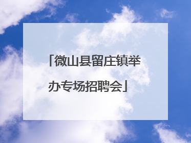 微山县留庄镇举办专场招聘会
