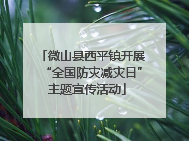 微山县西平镇开展“全国防灾减灾日”主题宣传活动