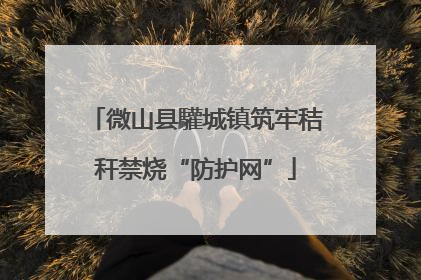 微山县驩城镇筑牢秸秆禁烧“防护网”