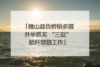 微山县鲁桥镇多措并举抓实 “三夏” 秸秆禁烧工作