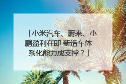 小米汽车、蔚来、小鹏盈利在即 新造车体系化能力成支撑？