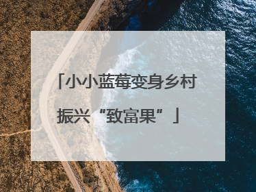 小小蓝莓变身乡村振兴“致富果”