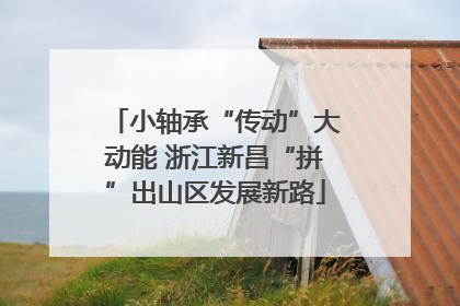 小轴承“传动”大动能 浙江新昌“拼”出山区发展新路