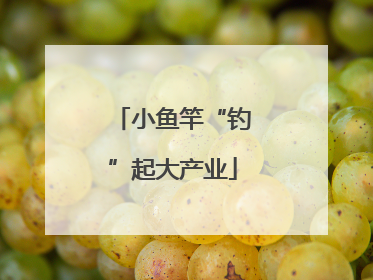 小鱼竿“钓”起大产业