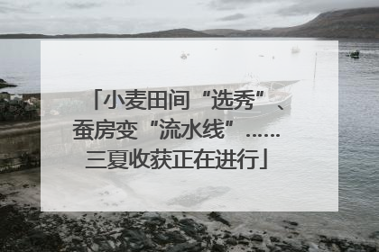 小麦田间“选秀”、蚕房变“流水线”……三夏收获正在进行