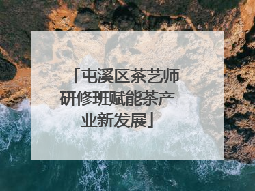 屯溪区茶艺师研修班赋能茶产业新发展