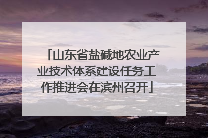 山东省盐碱地农业产业技术体系建设任务工作推进会在滨州召开