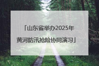 山东省举办2025年黄河防汛抢险协同演习