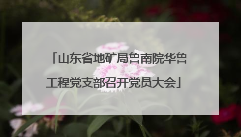 山东省地矿局鲁南院华鲁工程党支部召开党员大会