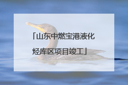 山东中燃宝港液化烃库区项目竣工