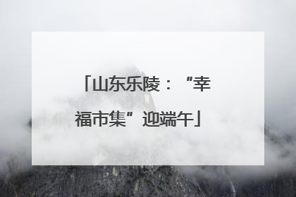 山东乐陵：“幸福市集”迎端午