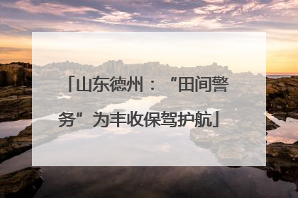 山东德州：“田间警务”为丰收保驾护航