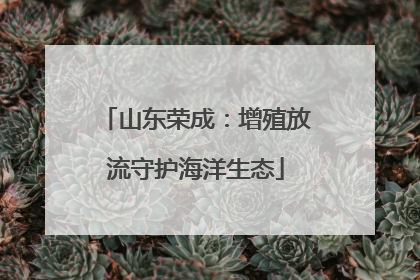 山东荣成：增殖放流守护海洋生态