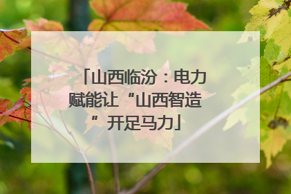 山西临汾：电力赋能让“山西智造”开足马力