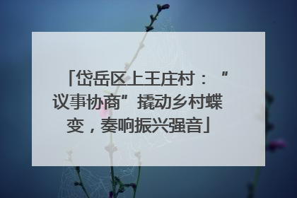 岱岳区上王庄村：“议事协商”撬动乡村蝶变，奏响振兴强音