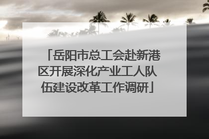 岳阳市总工会赴新港区开展深化产业工人队伍建设改革工作调研