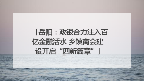 岳阳：政银合力注入百亿金融活水 乡镇商会建设开启“四新篇章”