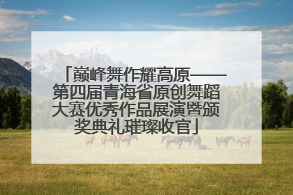 巅峰舞作耀高原——第四届青海省原创舞蹈大赛优秀作品展演暨颁奖典礼璀璨收官